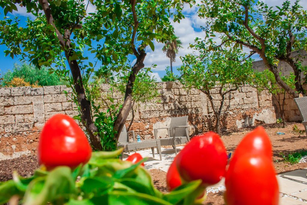 Riz Guest House Montesano Salentino Екстер'єр фото